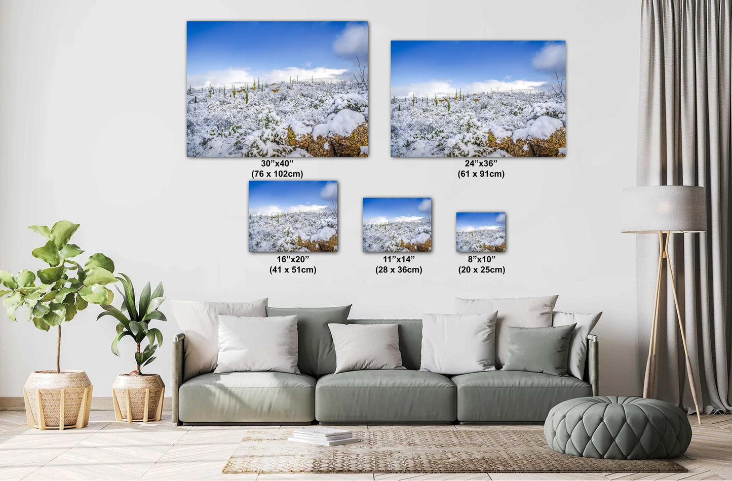 Desert Frost: Winter at Saguaro National Park Tucson Arizona Print Wall Art Winter Snow Photography Aluminum/Acrylic/Metal/Canvas Home Decor