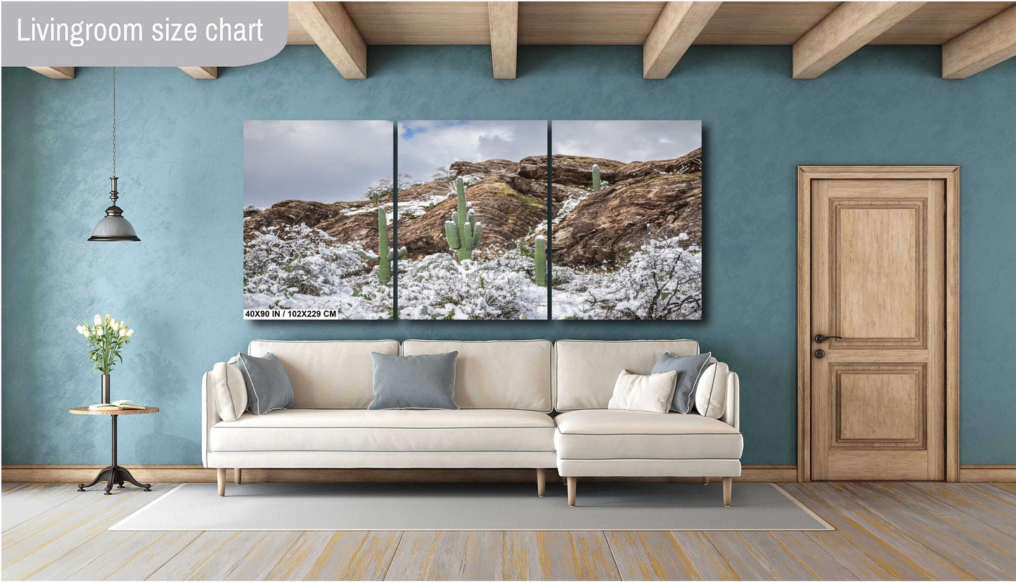 Winter’s Trio: Saguaros in Snow National Park Winter in Tucson Arizona Print Wall Art Photography Aluminum/Acrylic/Metal/Canvas