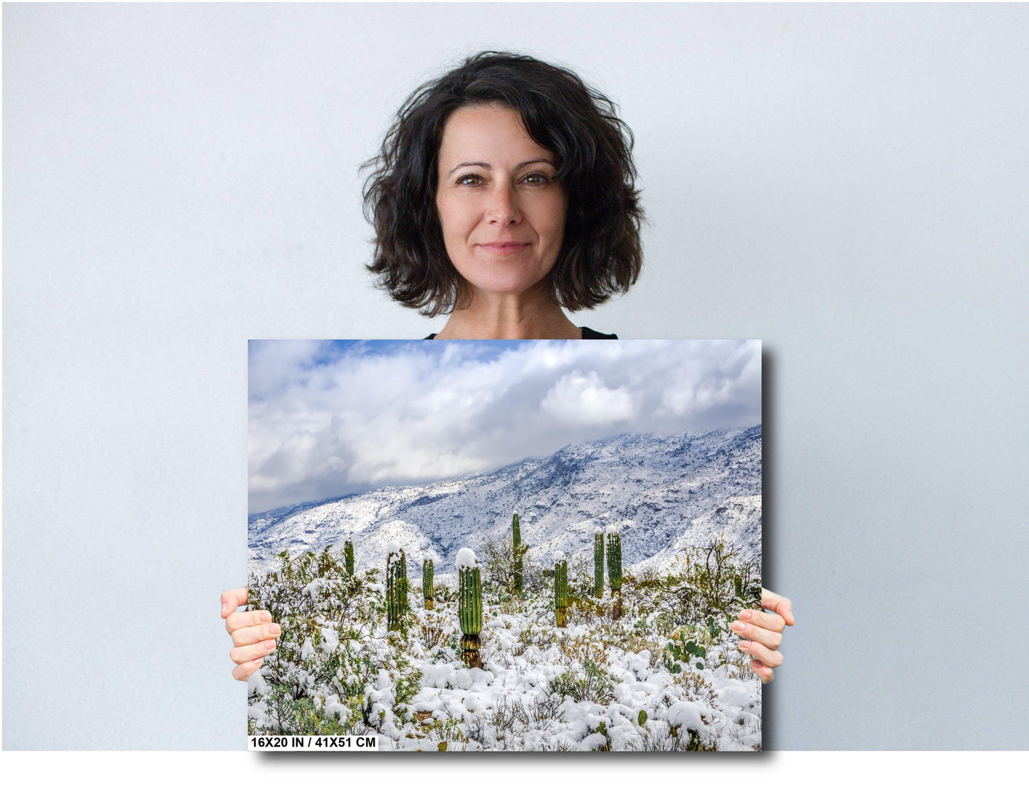 Saguaro Guardians of the Frosted Canyon: Saguaro National Park Print Wall Art Tucson Winter Snow Desert Aluminum/Acrylic/Metal/Canvas