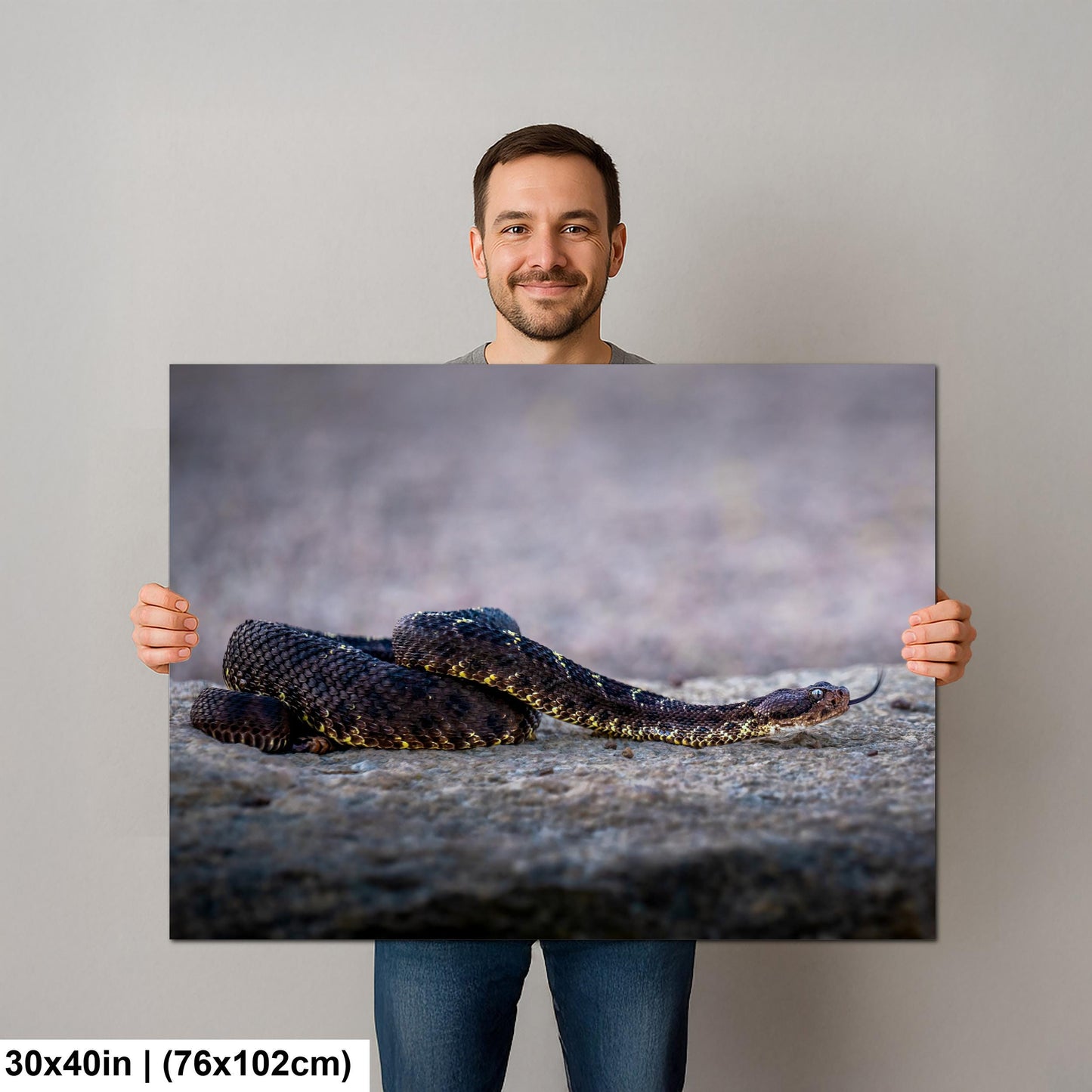 Black Rattlesnake Print - Arizona Desert Wildlife Art | Fine Canvas Wall Decor