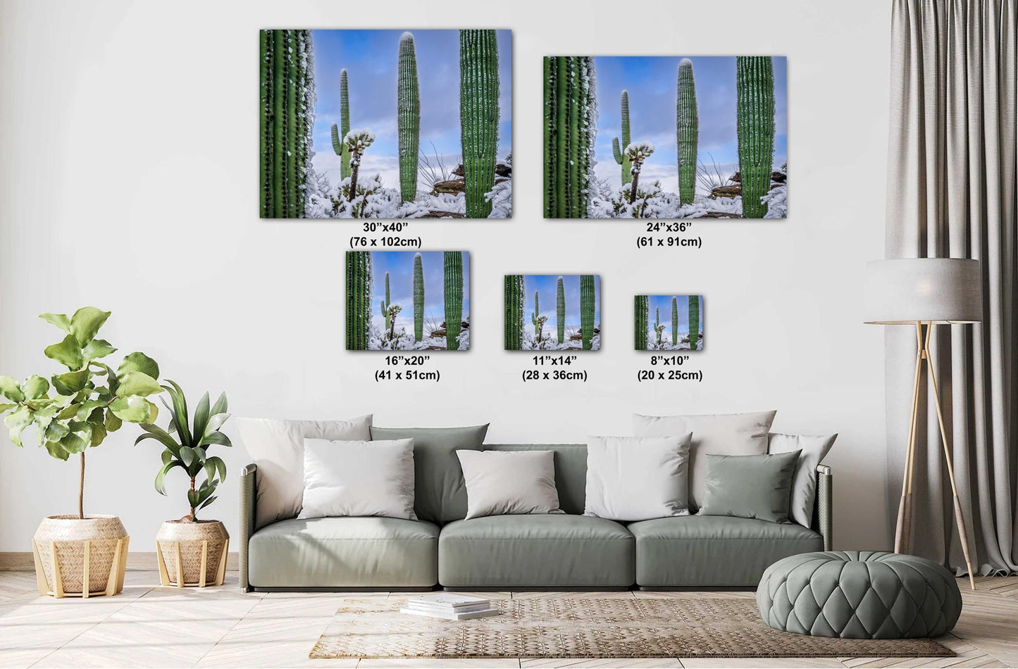 Snow-Draped Tall Cactus: Saguaro National Park Tucson Arizona Print Wall Art Photography Aluminum/Acrylic/Metal/Canvas