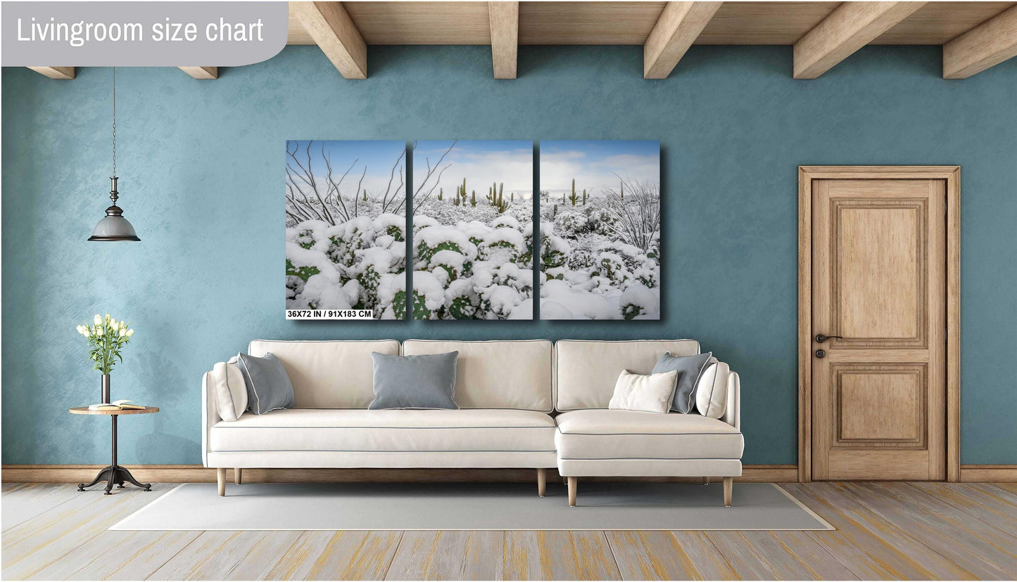 Prickly Pear Cacti in the Cold: Snowfall at Saguaro National Park Print Wall Art Tucson Winter Snow Desert Aluminum/Acrylic/Metal/Canvas