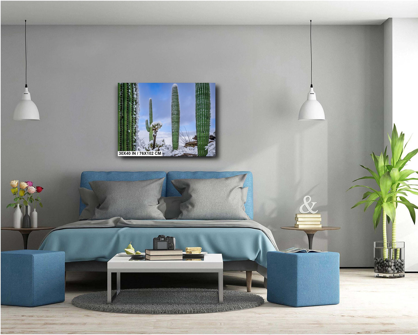 Snow-Draped Tall Cactus: Saguaro National Park Tucson Arizona Print Wall Art Photography Aluminum/Acrylic/Metal/Canvas