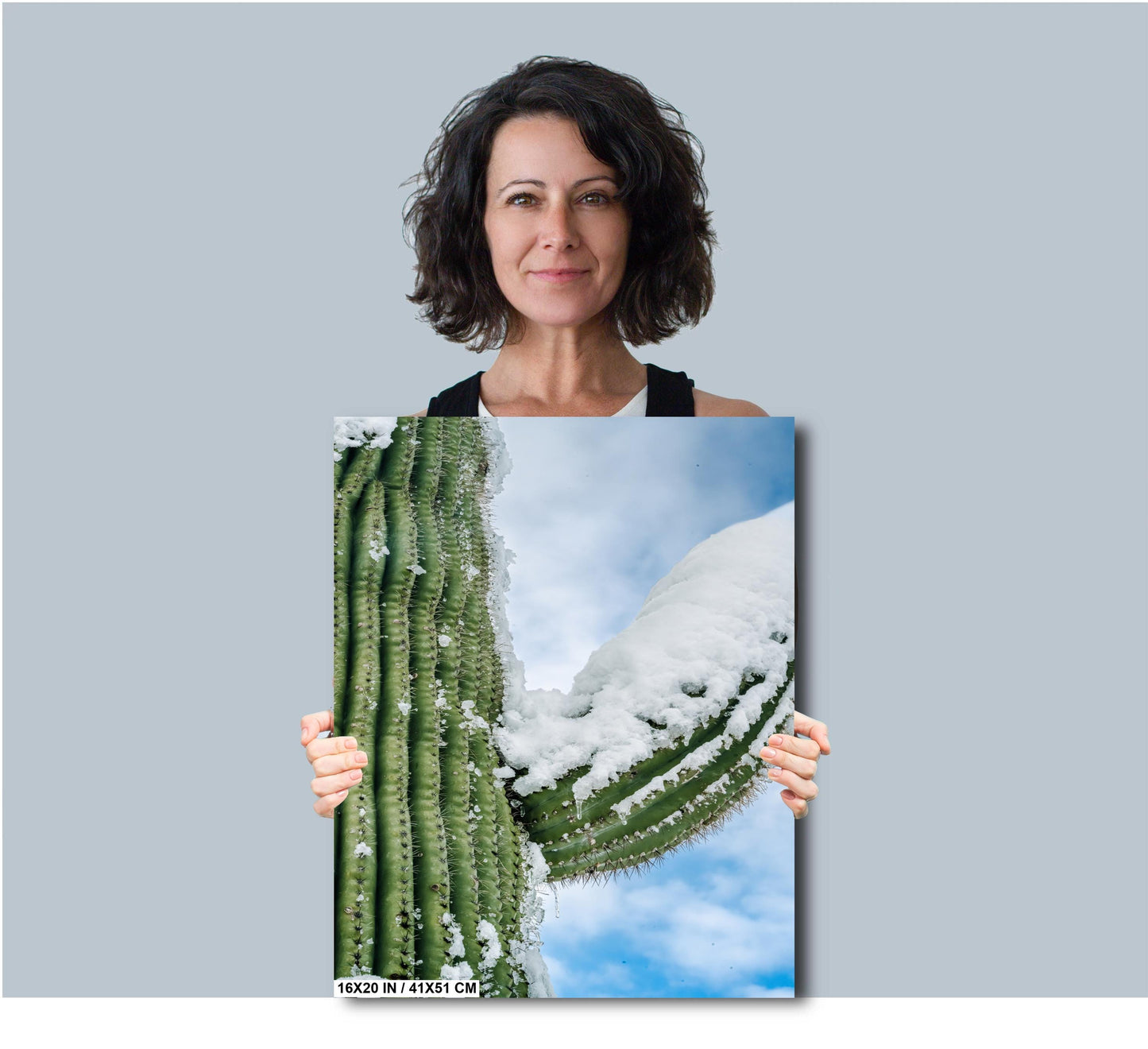 Frozen Arms of the Desert: Giant Saguaro National Park Cactus Tucson Arizona Print Wall Art Photography Aluminum/Acrylic/Metal/Canvas