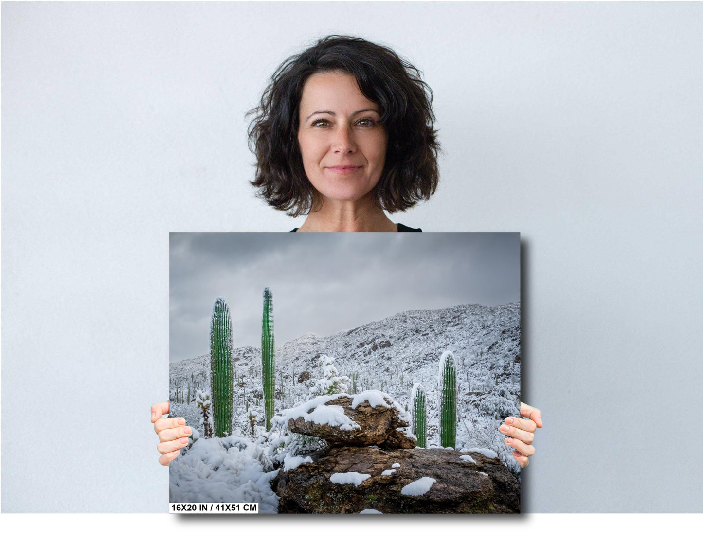 Snow-covered saguaro cacti in Saguaro National Park in Arizona surrounded by snowy desert hills and rocks.