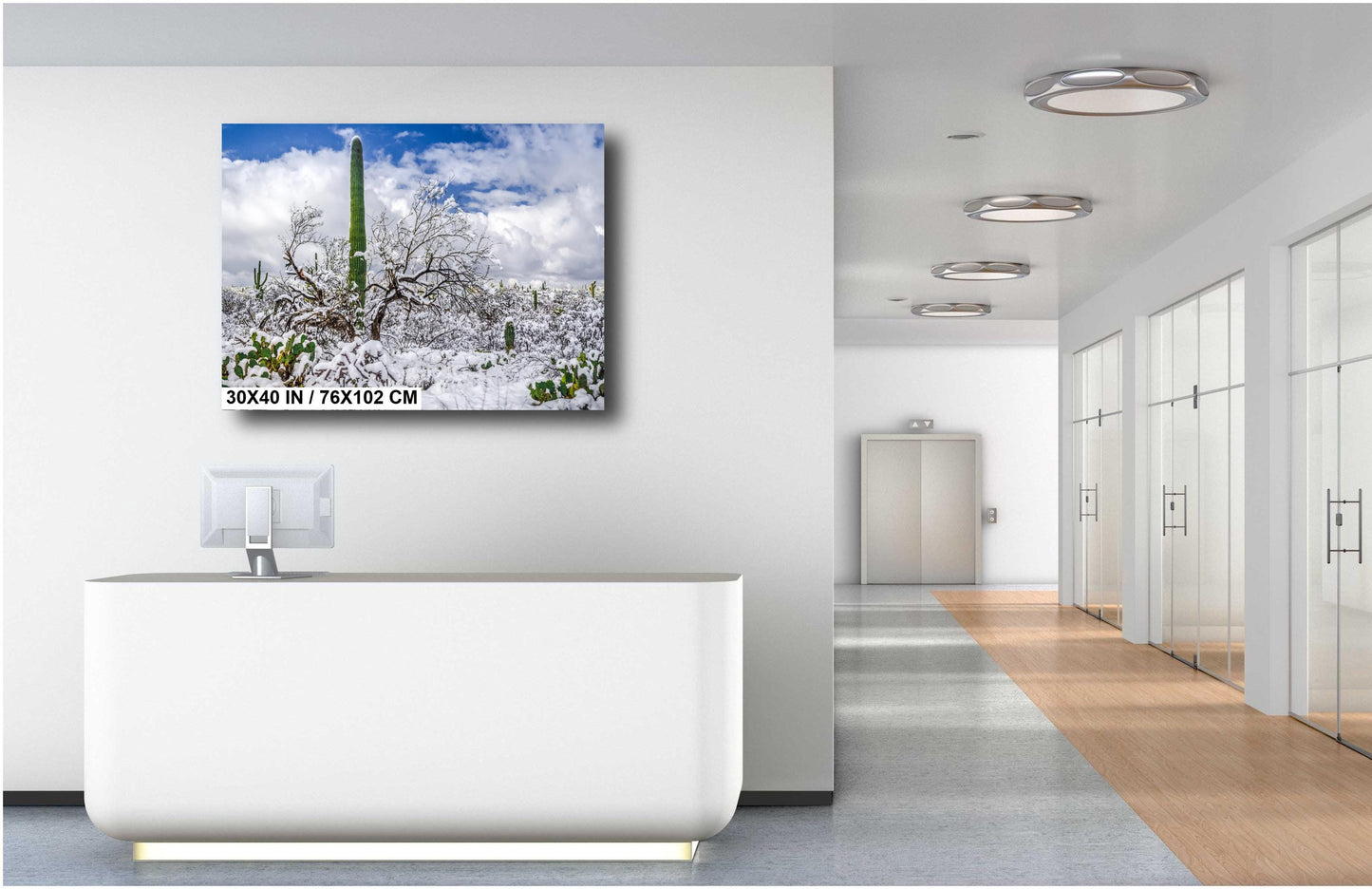 Saguaro Standing Tall in Winter’s Embrace: Saguaro National Park Print Wall Art Tucson Snow Desert Photography Aluminum/Acrylic/Metal/Canvas