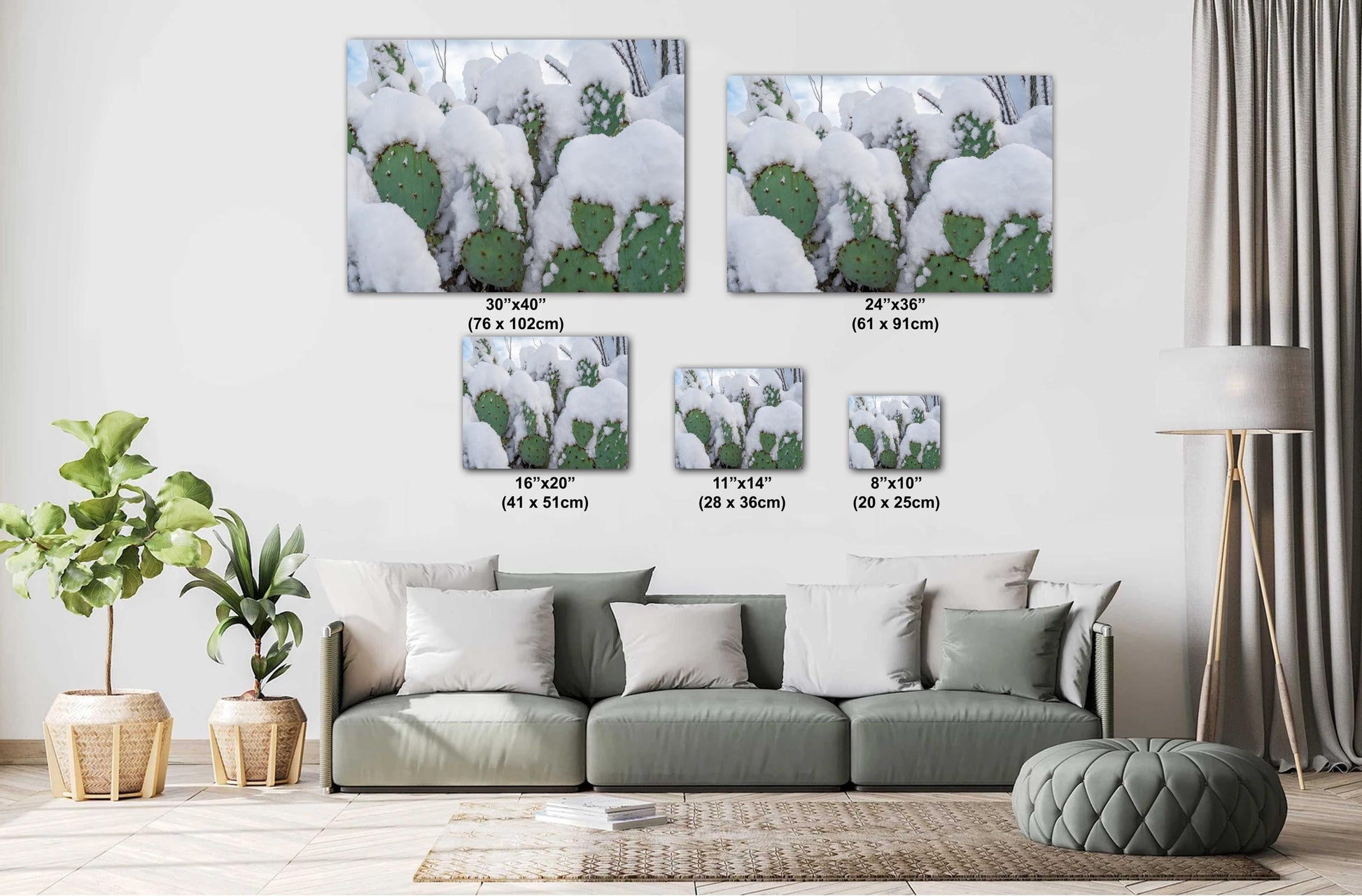 Snow-covered prickly pear cactus in Arizona desert, showcasing a rare and stunning winter scene.