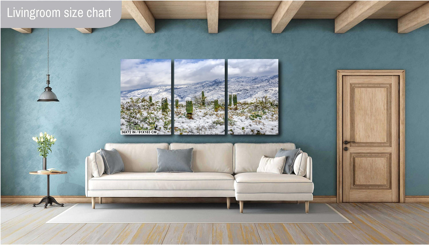 Saguaro Guardians of the Frosted Canyon: Saguaro National Park Print Wall Art Tucson Winter Snow Desert Aluminum/Acrylic/Metal/Canvas