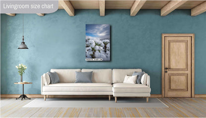 A White Canvas: Snow-Capped Jumping Cholla Saguaro National Park Tucson Arizona Print Wall Art Photography Aluminum/Acrylic/Metal/Canvas