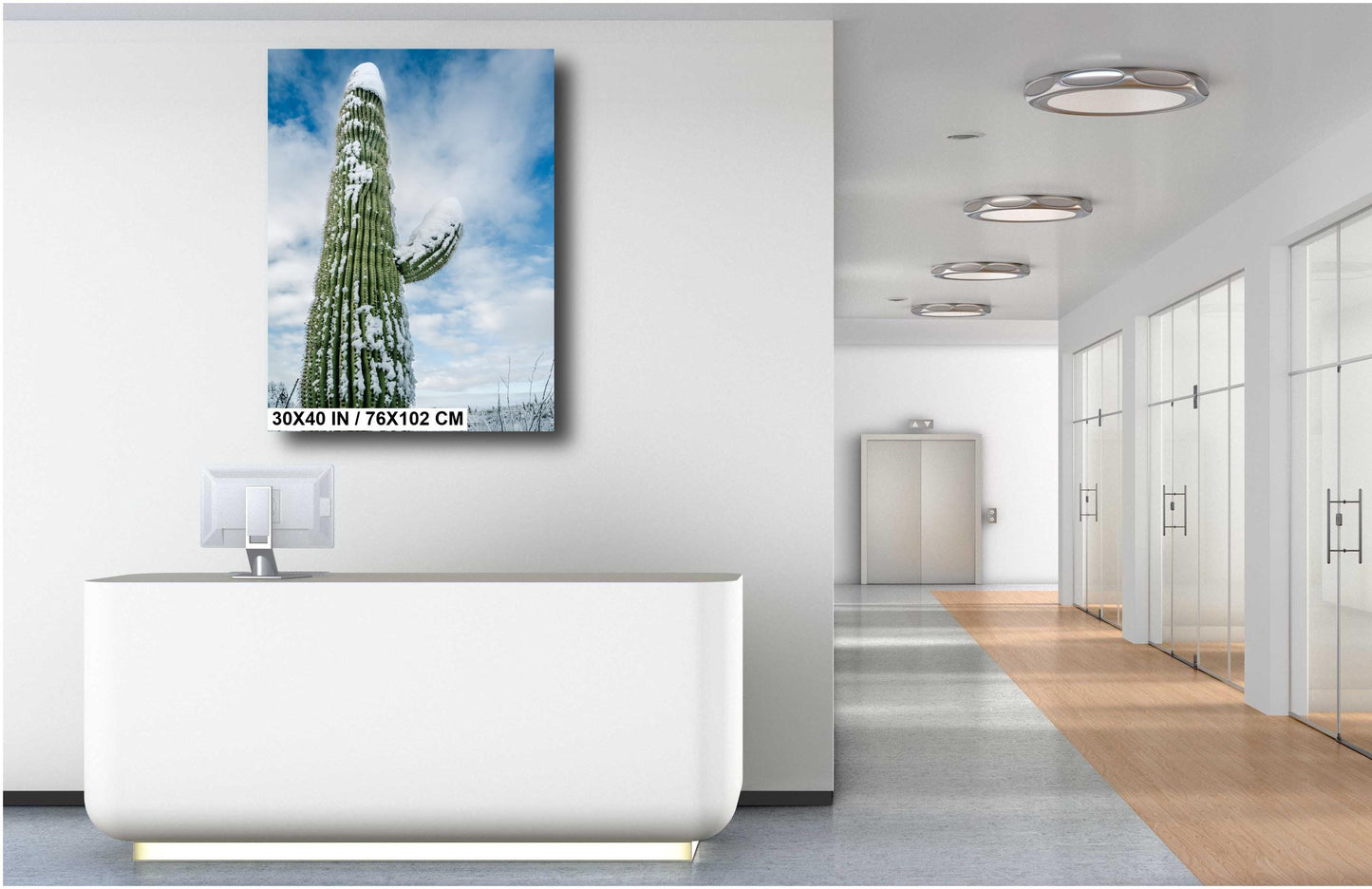 Snow-Capped Saguaros: Saguaro National Park in Tucson Arizona Winter Print Wall Art Snow Photography Aluminum/Acrylic/Metal/Canvas