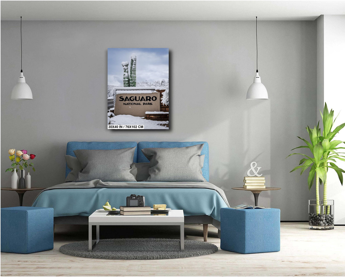 A Frosty Welcome to Saguaro National Park Sign Print Wall Art Tucson Winter Snow Desert Photography Aluminum/Acrylic/Metal/Canvas Home Decor