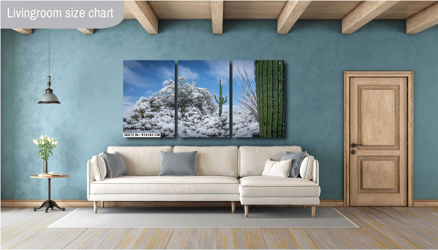 Dreaming of a White Desert Christmas: Saguaro National Park in Snow Tucson Arizona Print Wall Art Photography Aluminum/Acrylic/Metal/Canvas