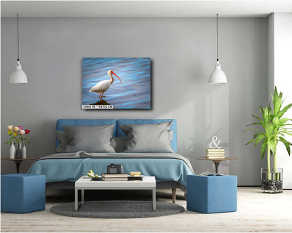 The Happy Ibis: American White Ibis Bird in Bradenton Florida Print Wall Art Bird Seascape Photography Aluminum/Acrylic/Metal/Canvas