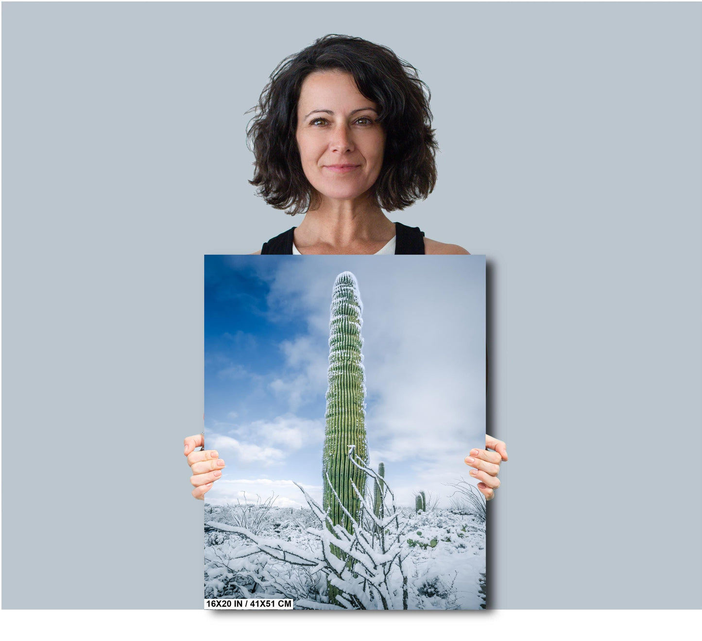 Snowy Saguaro Statue: Saguaro National Park Giant Cactus Tucson Arizona Print Wall Art Photography Aluminum/Acrylic/Metal/Canvas