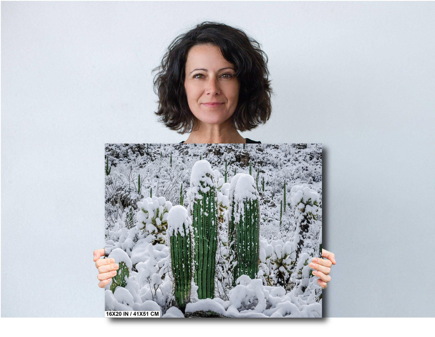 Proud Cactus Soldiers In The Snow : Snow-Capped Saguaros in Tucson Arizona Print Wall Art Photography Aluminum/Acrylic/Metal/Canvas