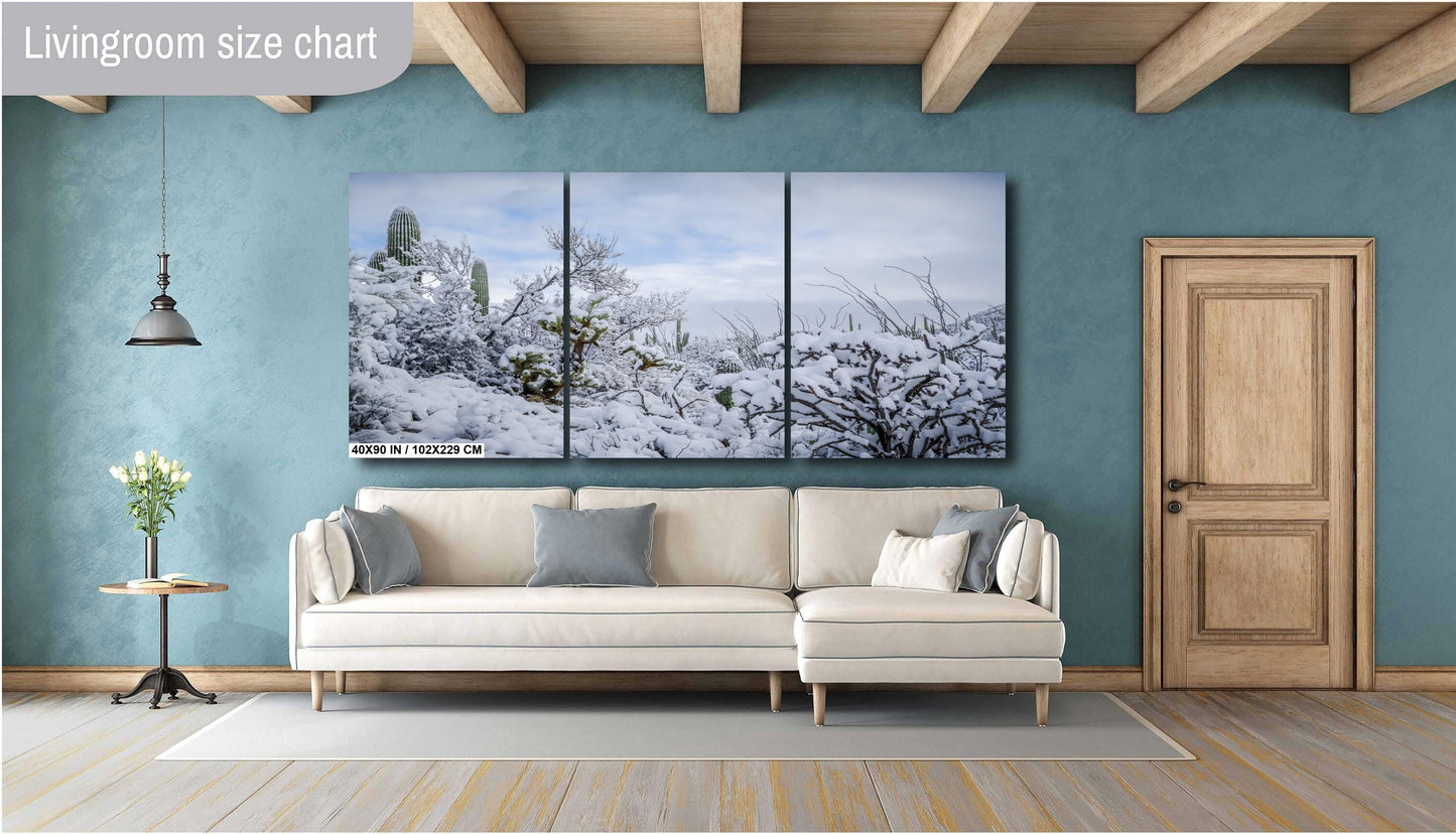 Desert’s Quiet Winter Beauty: Saguaro National Park Tucson Arizona Print Wall Art Photography Aluminum/Acrylic/Metal/Canvas