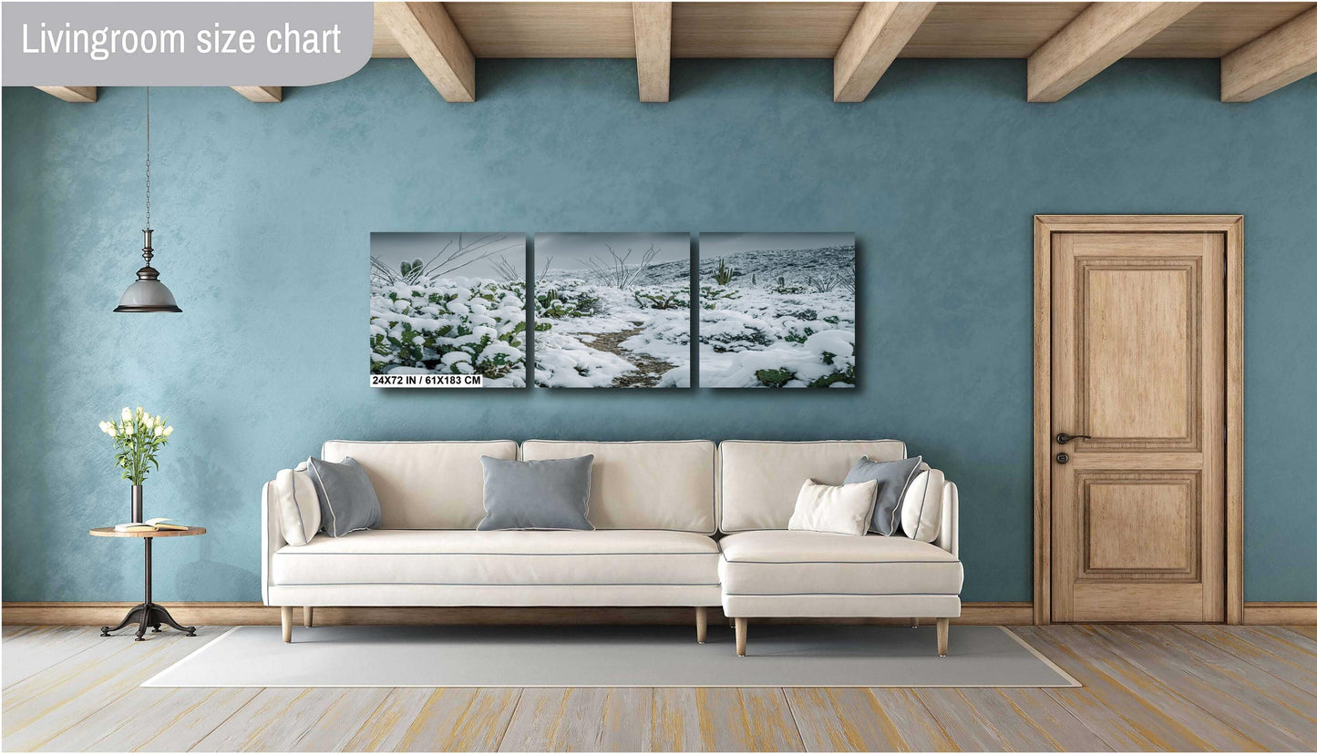 Hiking Trail Through The Snowy Cactus: Saguaro National Park Tucson Arizona Print Wall Art Photography Aluminum/Acrylic/Metal/Canvas