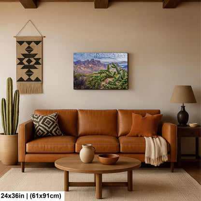 Cholla Cactus in Catalina State Park, Arizona, Photography Print, Sonoran Desert Mountain Landscape Wall Art