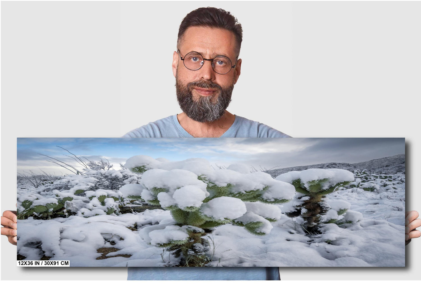 Cactus Wonderland: A Snowy Day in Arizona Saguaro National Park Tucson AZ Print Wall Art Photography Aluminum/Acrylic/Metal/Canvas