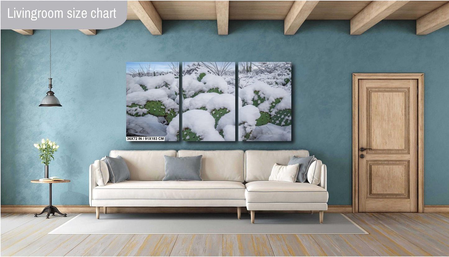 Snow-covered prickly pear cacti in Saguaro National Park, Arizona, showcasing rare desert winter beauty.