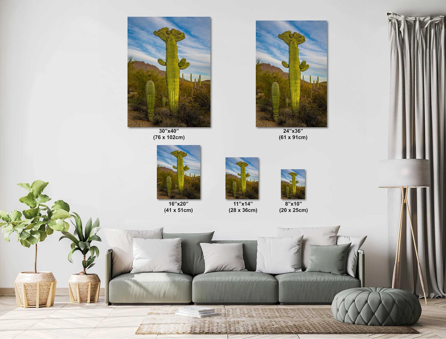 All Hail King Cacti! Giant Saguaro Cactus Tucson Mountain Park Arizona Wall Art Print Arizona Desert  Southwestern Aluminum/Metal/Canvas