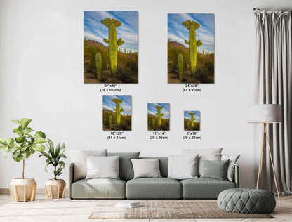 All Hail King Cacti! Giant Saguaro Cactus Tucson Mountain Park Arizona Wall Art Print Arizona Desert  Southwestern Aluminum/Metal/Canvas