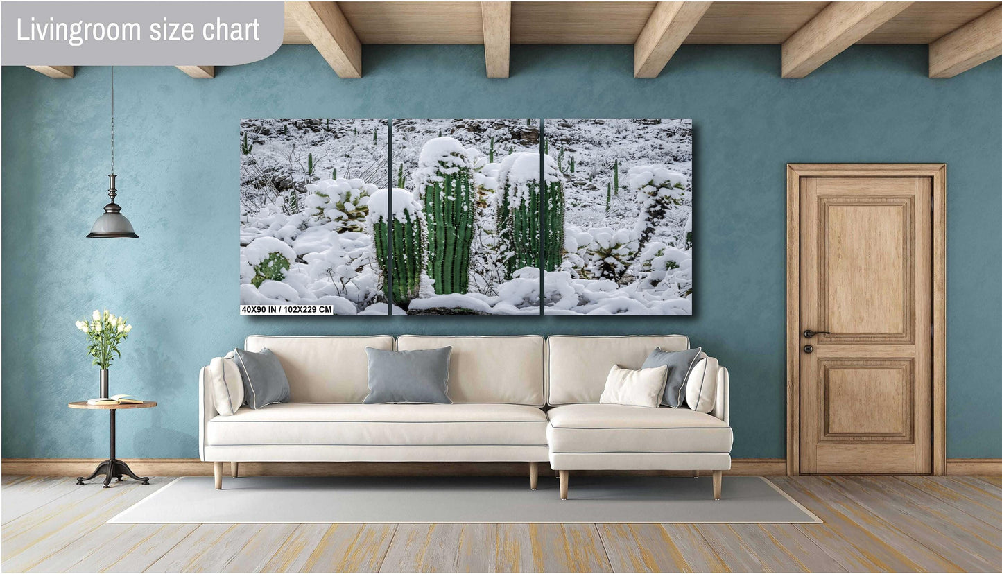 Proud Cactus Soldiers In The Snow : Snow-Capped Saguaros in Tucson Arizona Print Wall Art Photography Aluminum/Acrylic/Metal/Canvas