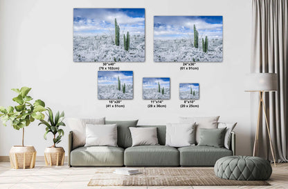 The White Desert: Snowfall in Saguaro National Park Tucson Arizona Print Wall Art Photography Aluminum/Acrylic/Metal/Canvas