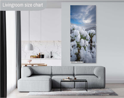 A White Canvas: Snow-Capped Jumping Cholla Saguaro National Park Tucson Arizona Print Wall Art Photography Aluminum/Acrylic/Metal/Canvas