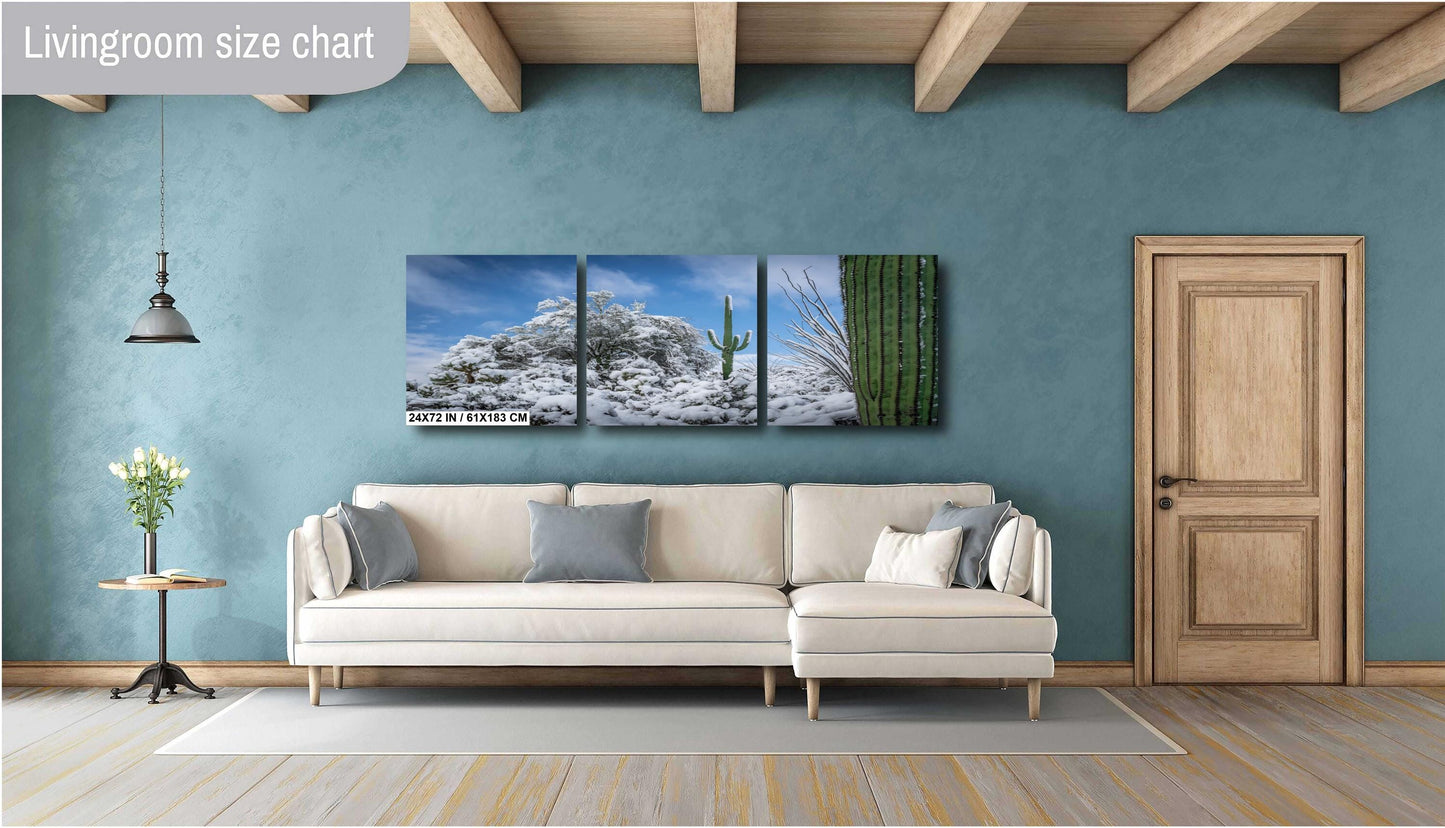 Dreaming of a White Desert Christmas: Saguaro National Park in Snow Tucson Arizona Print Wall Art Photography Aluminum/Acrylic/Metal/Canvas