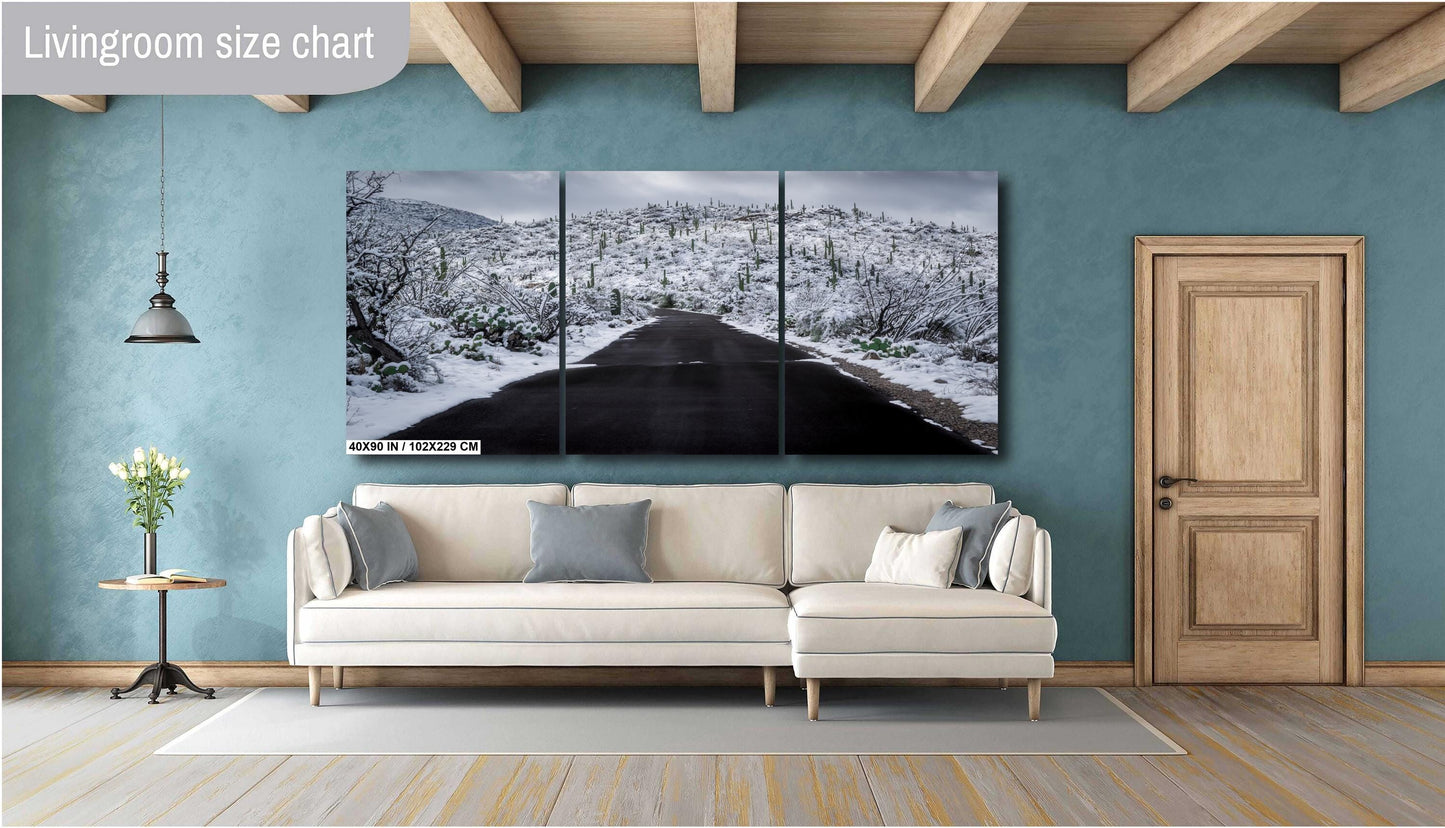 Snow-covered desert road in Saguaro National Park, Arizona, with snowy saguaro cacti lining the path.