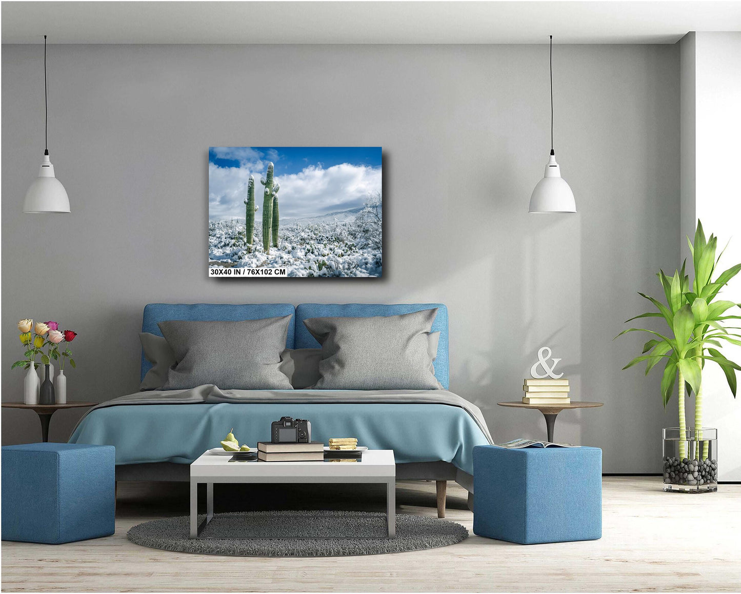 Cactus Kids Playing In The Desert Snow: Snow-Capped Saguaro National Park Tucson Arizona Print Wall Art Photography Acrylic/Metal/Canvas