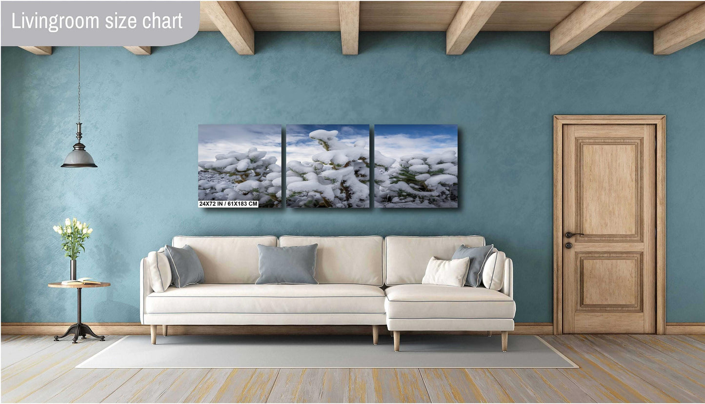 Snow Smothered Cactus Close-Up: Saguaro National Park Tucson Arizona Print Wall Art Photography Aluminum/Acrylic/Metal/Canvas