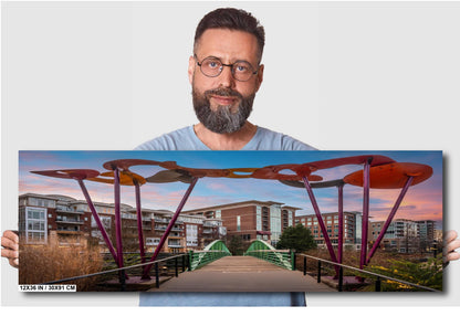 Greenville’s Liberty Pedestrian Bridge: Falls Park Greenville South Carolina Print Wall Art Photography Aluminum/Acrylic/Metal/Canvas