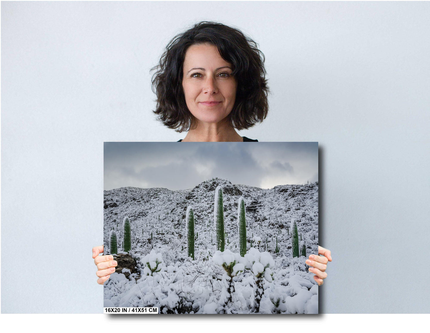 A Frosty Transformation in Saguaro National Park Print Wall Art Tucson Winter Snow Desert Photography Aluminum/Acrylic/Metal/Canvas