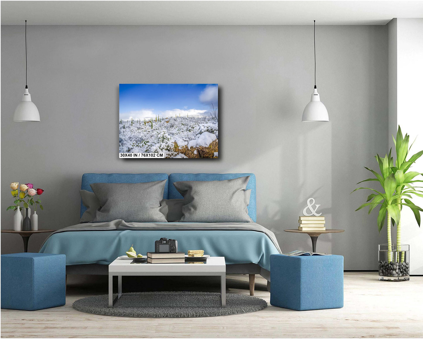 Desert Frost: Winter at Saguaro National Park Tucson Arizona Print Wall Art Winter Snow Photography Aluminum/Acrylic/Metal/Canvas Home Decor