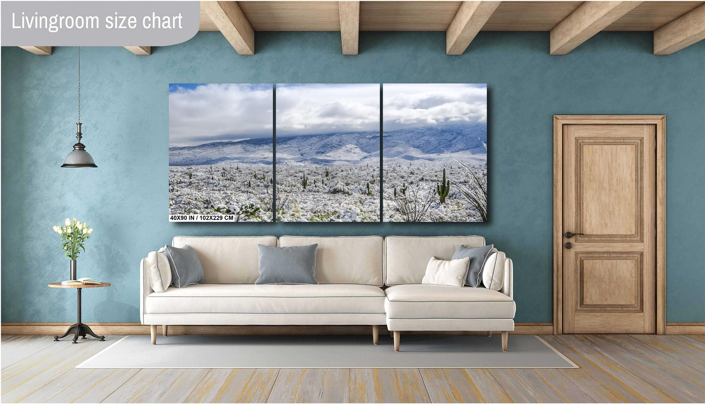 Winter’s Touch on the Desert Landscape: Saguaro National Park Print Wall Art Tucson Winter Snow Photography Aluminum/Acrylic/Metal/Canvas