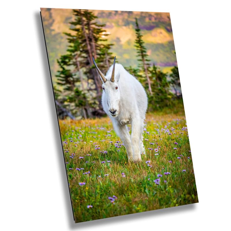 Alpine Majesty: Glacier Mountain Goat National Park Wildlife Photography Wall Art Home Decor