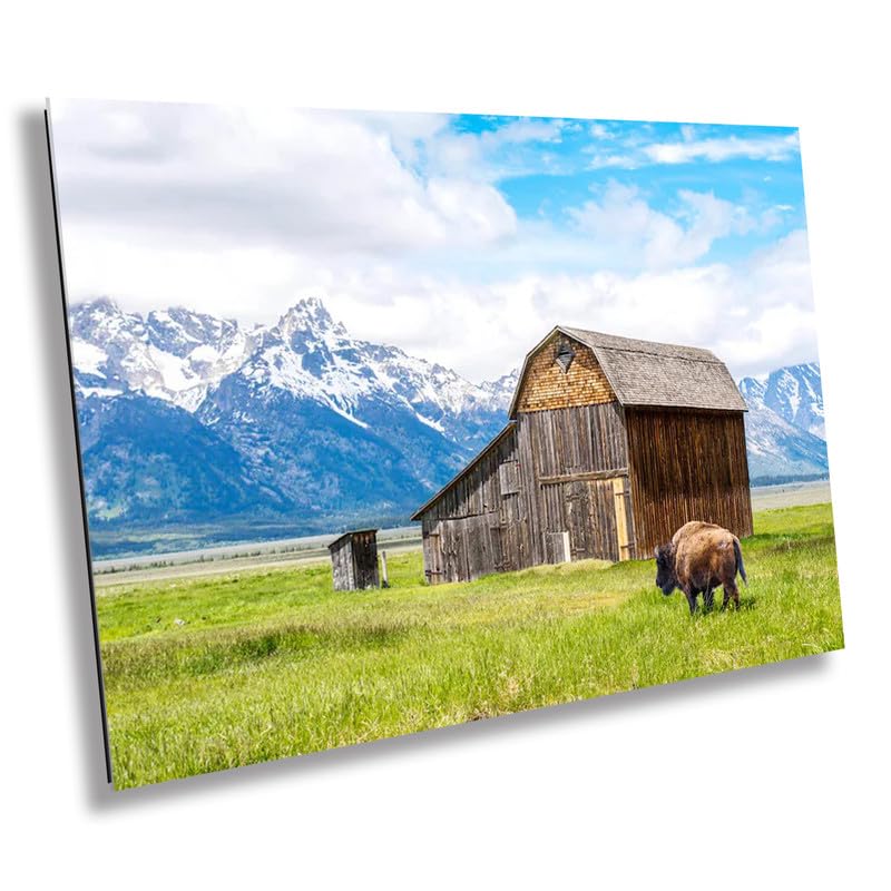 Bison's Haven: Thomas Murphy Barn Snow-capped Mountain Canvas Metal Print Grand Teton National Park Photography Landscape Wall Art