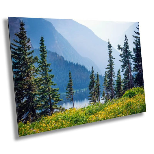 Botanical Wonderland: Summer Wildflowers at Glacier Montana Landscape Photography Metal Canvas Print Nature Wall Art