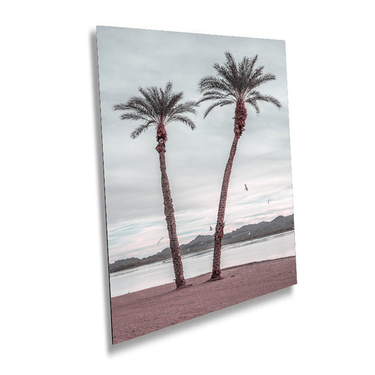 Desert Paradise: Palm Trees in Lake Havasu Wall Art Photography Metal Acrylic Print Arizona Nature Portrait