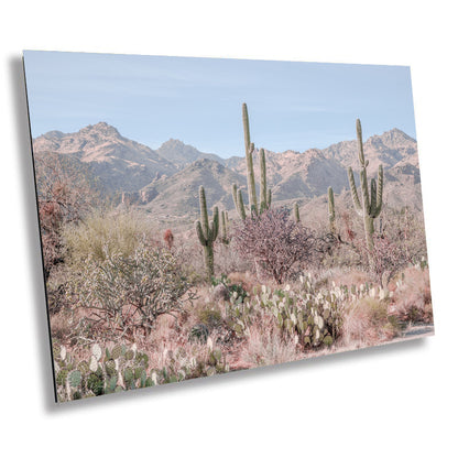 Desert Splendor: Saguaro Cactus Acrylic Metal Wall Art American Southwest Landscape Desert Photography