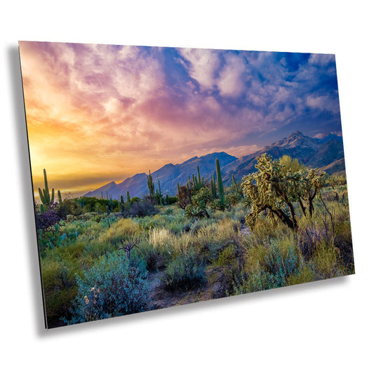 Desert Wonderland: Painted Sky Sunset at Sabino Canyon Tucson Arizona Cactus Landscape Photography Wall Art