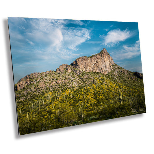 Elevated Elegance: Picacho Peak State Park Breathtaking Views Wall Art Metal Aluminum Print Arizona Landscape