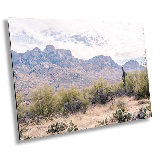 Epic Views and Cactus Hues: Catalina State Park Arizona Wall Art Cactus Desert Metal Acrylic Print