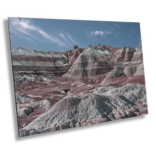 Eternal Stone Grove: Petrified Forest Arizona Landscape Metal Canvas Wall Art