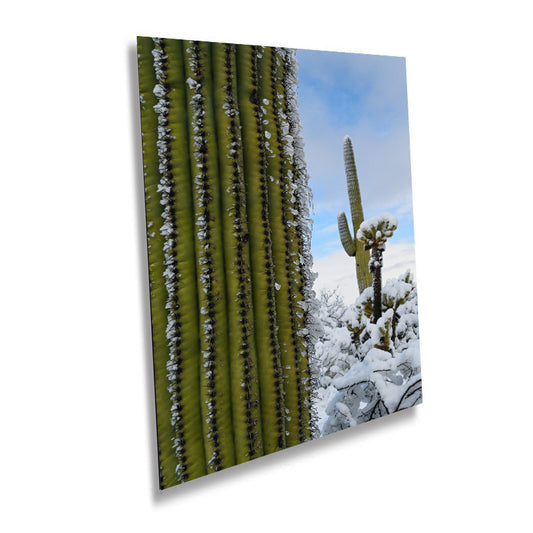 Frozen Giants: Snowfall on Saguaro National Park Cactus Winter Photography Canvas Home Wall Art