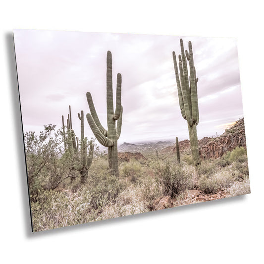 Gold Canyon Wonder: Saguaro Cactus Arizona Wall Art Metal Canvas Print  Desert Landscape Photography