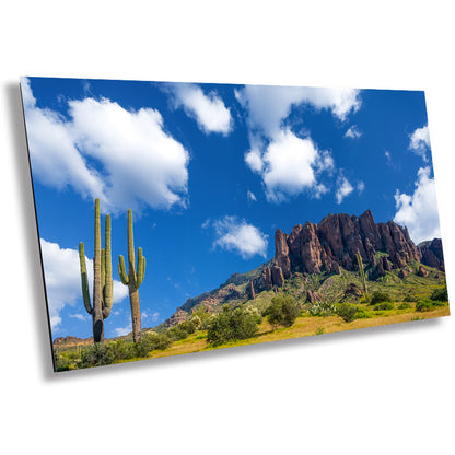 Golden Mysteries: Apache Junction Lost Dutchman State Park Desert Landscape Wall Art Cactus  Photography Canvas Print