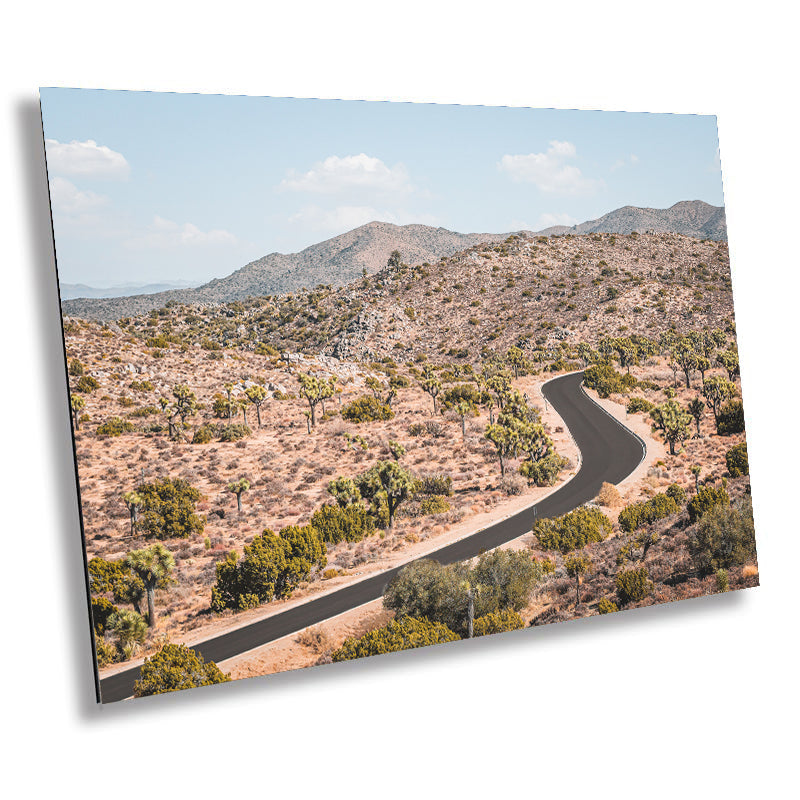 Journey Through Joshua: Joshua Tree National Park Wall Art California Landscape Metal Aluminum Print